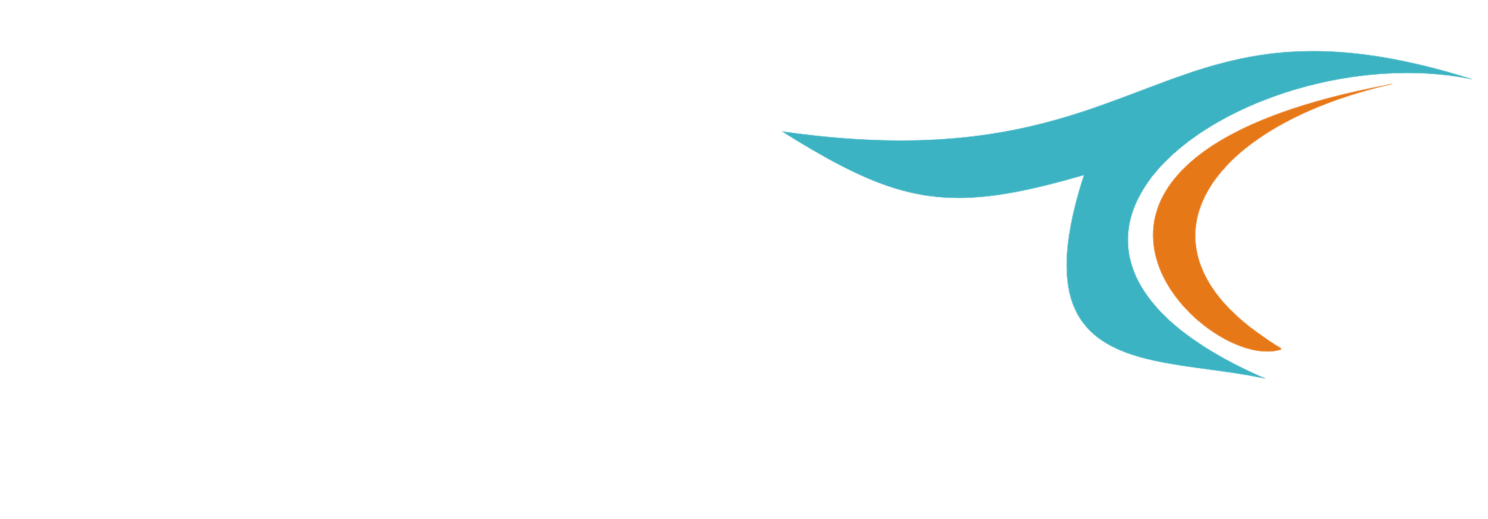 Tanveer Constructions